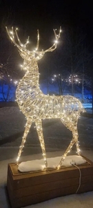 Олень 3д ,  доставка #1747351