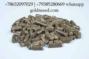 Шрот подсолнечный и соевый оптом - ГК Юг Руси