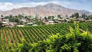 Продается дача в экологически чистой горной зоне Кумушкан Паркентский район #1753146