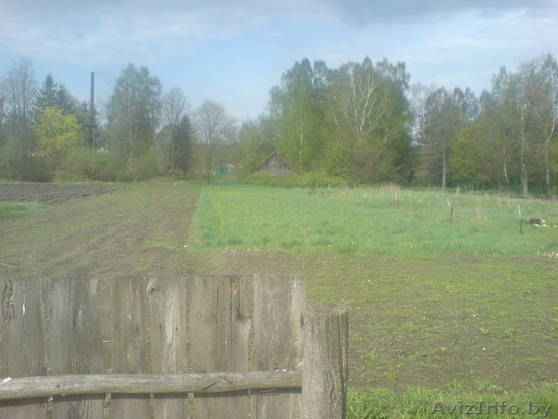 Продажа дома в гп Ружаны Беларусь - Изображение #8, Объявление #206615