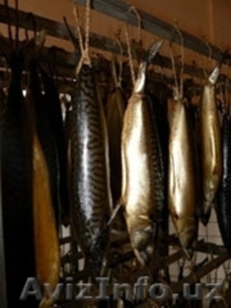 Камеры для холодного копчения «Термикс-К» - Изображение #2, Объявление #13028