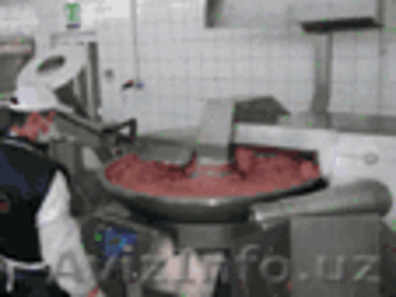 Мясообрабатывающее оборудования - Изображение #3, Объявление #62069