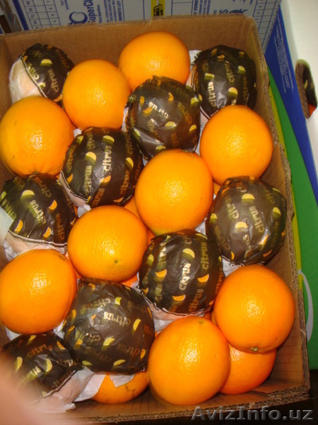 фрукты для оптовиков - Изображение #3, Объявление #61812