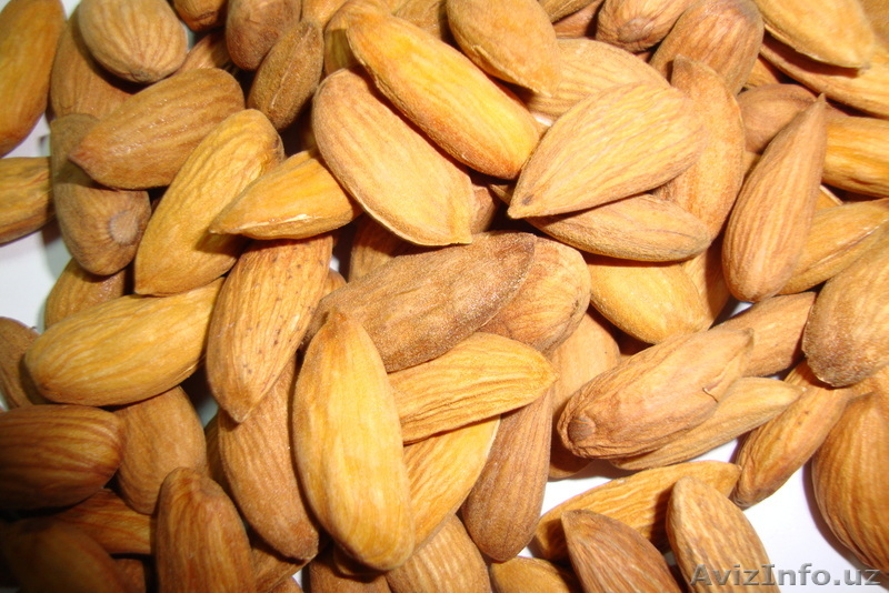 Компания "Alifar agroimpeks and Engineering" предлагает продажу сельхозпродукции - Изображение #3, Объявление #116090