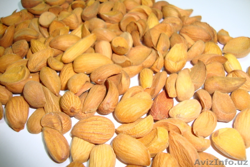 Компания "Alifar agroimpeks and Engineering" предлагает продажу сельхозпродукции - Изображение #4, Объявление #116090