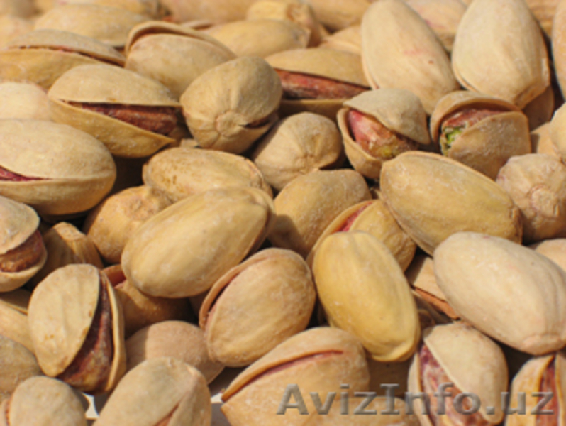 Компания "Alifar agroimpeks and Engineering" предлагает продажу сельхозпродукции - Изображение #5, Объявление #116090