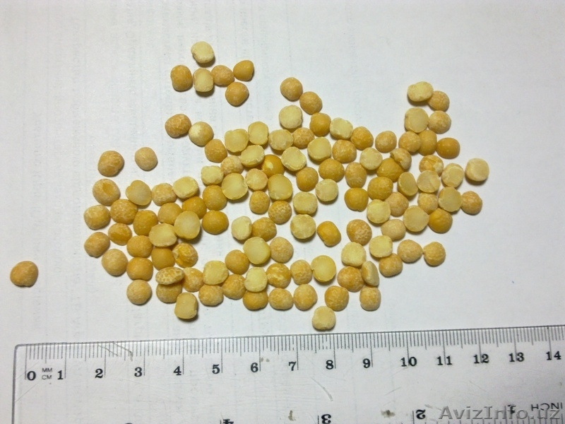 Горох желтый шлифованный из Украины - Изображение #3, Объявление #112217