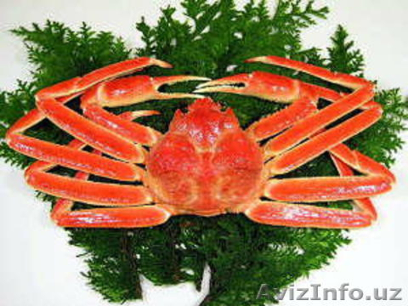 Муляжи продуктов питания ,  изготовление и продажа - Изображение #10, Объявление #143315