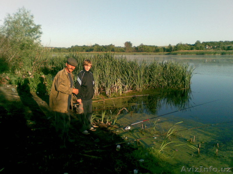 В Курской области в деревне у реки земля и дом. - Изображение #10, Объявление #242391