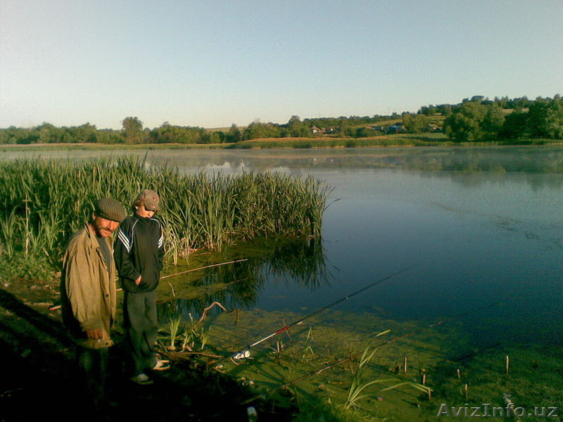 Во Владимирской обл.  земля  под  дом. - Изображение #8, Объявление #242397