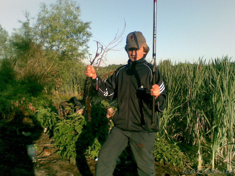 Во Владимирской обл.  земля  под  дом. - Изображение #10, Объявление #242397