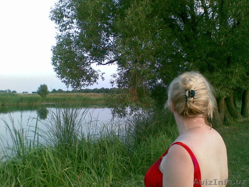 Во Владимирской обл.  земля  под  дом. - Изображение #3, Объявление #242397