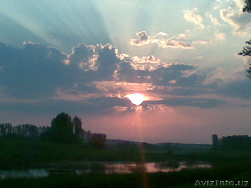 В Курской области в деревне у реки земля и дом. - Изображение #3, Объявление #242391