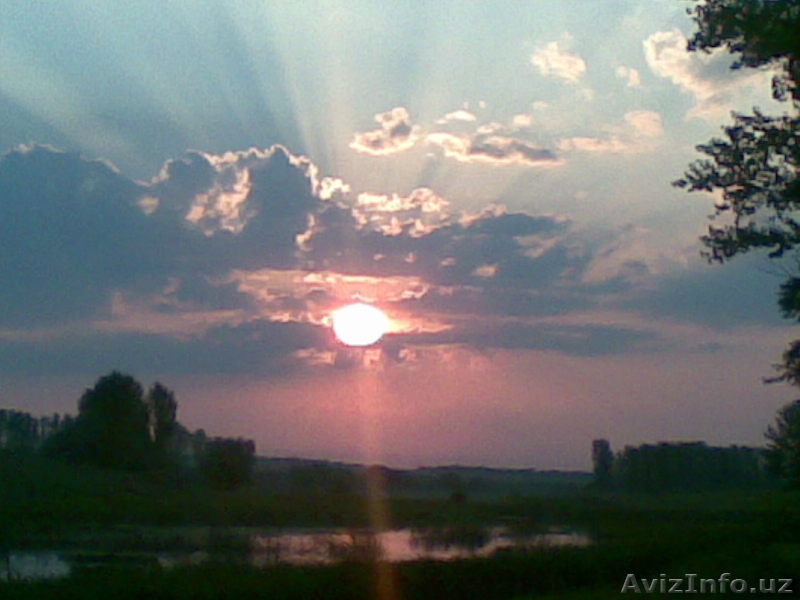 Во Владимирской обл.  земля  под  дом. - Изображение #4, Объявление #242397