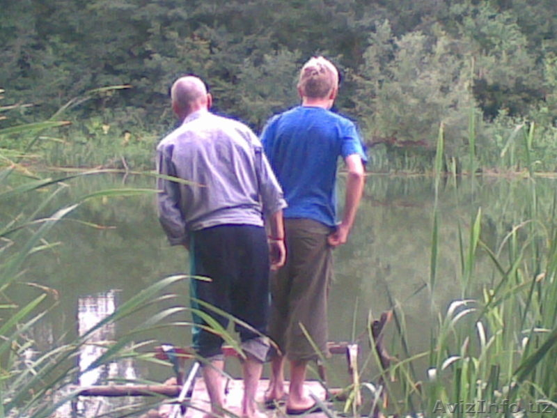 В Курской области в деревне у реки земля и дом. - Изображение #5, Объявление #242391
