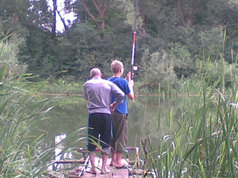 Во Владимирской обл.  земля  под  дом. - Изображение #5, Объявление #242397