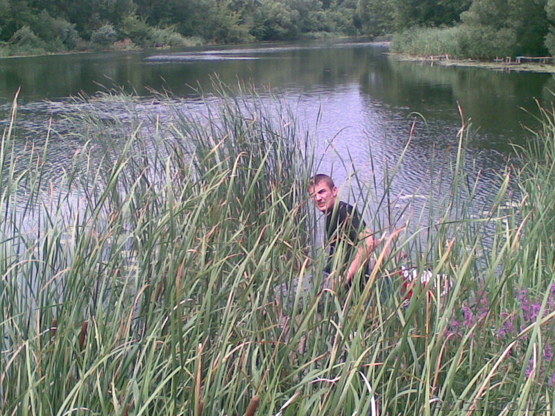 Во Владимирской обл.  земля  под  дом. - Изображение #9, Объявление #242397