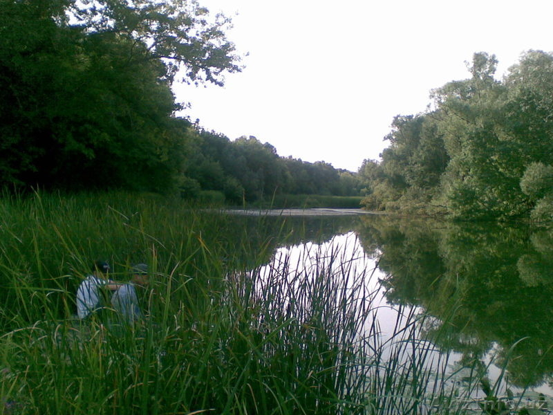 Во Владимирской обл.  земля  под  дом. - Изображение #7, Объявление #242397