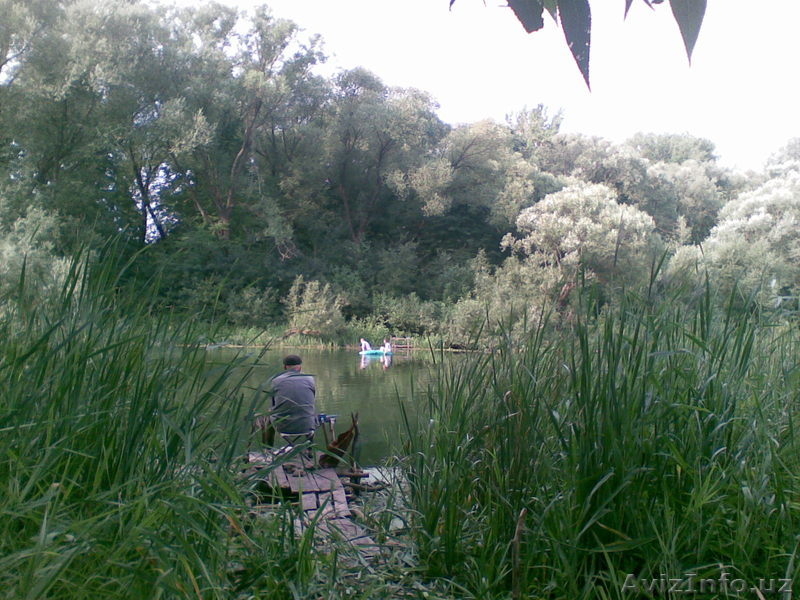 Во Владимирской обл.  земля  под  дом. - Изображение #6, Объявление #242397