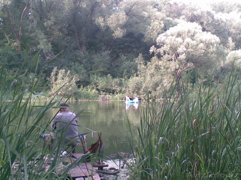 В Курской области в деревне у реки земля и дом. - Изображение #8, Объявление #242391