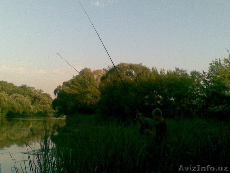 В Курской области в деревне у реки земля и дом. - Изображение #9, Объявление #242391