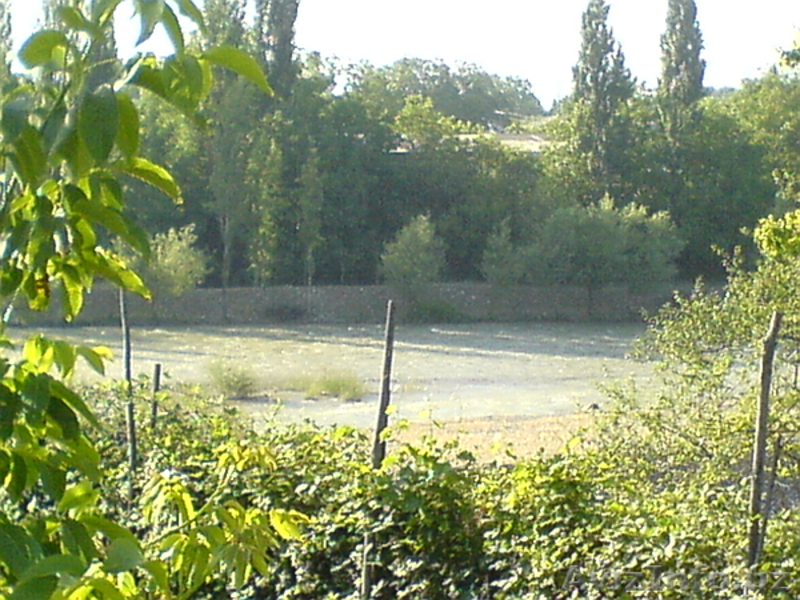 Срочно дешево продам дом - Изображение #1, Объявление #262767