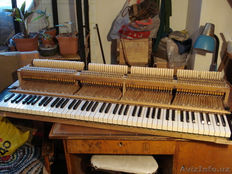 Настройка и ремонт пианино и роялей - Изображение #4, Объявление #256260