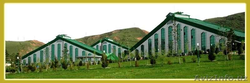 ОТДЫХ в ГОРАХ Узбекистана - Изображение #3, Объявление #254179