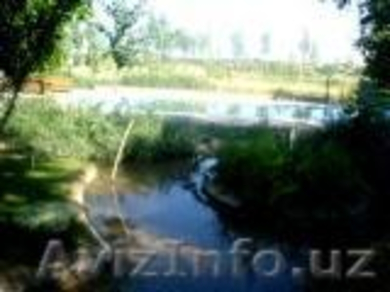 Сдаю свою дачу в аренду! Шикарно,недалеко от г.Ташкента цена приемлима - Изображение #8, Объявление #290723