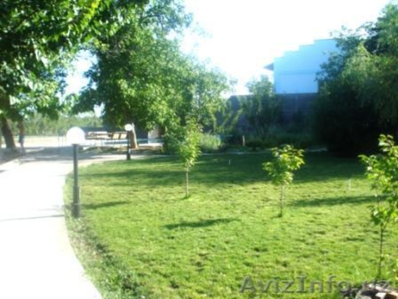 Сдаю свою дачу в аренду! Шикарно,недалеко от г.Ташкента цена приемлима - Изображение #3, Объявление #290723