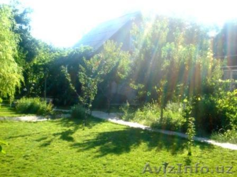 Сдаю свою дачу в аренду! Шикарно,недалеко от г.Ташкента цена приемлима - Изображение #4, Объявление #290723