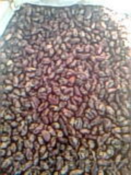 Рис, маш, фасоль, горох - Изображение #3, Объявление #331044