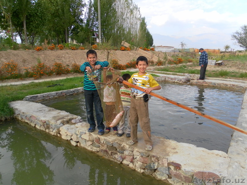 ЭЛИТНАЯ ДАЧНАЯ УЧАСТКА  - Изображение #7, Объявление #310772