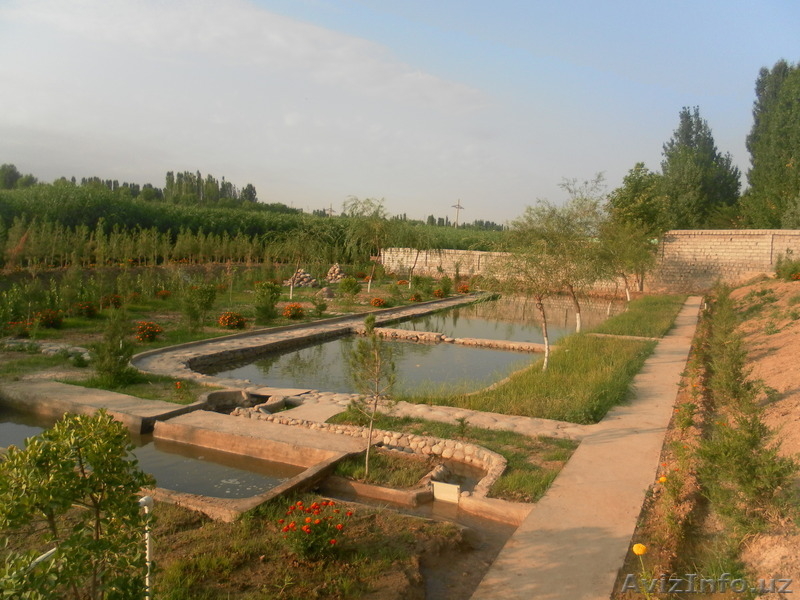 ЭЛИТНАЯ ДАЧНАЯ УЧАСТКА  - Изображение #4, Объявление #310772