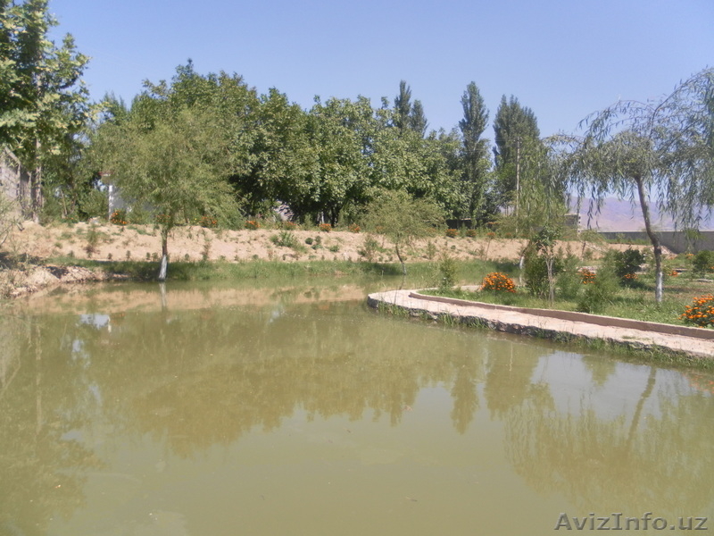 ЭЛИТНАЯ ДАЧНАЯ УЧАСТКА  - Изображение #3, Объявление #310772