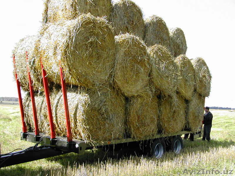 тракторныя прицепы для перевозки кормов - Изображение #5, Объявление #429263