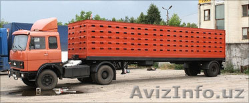 весы и техника для животноводства - Изображение #4, Объявление #429248