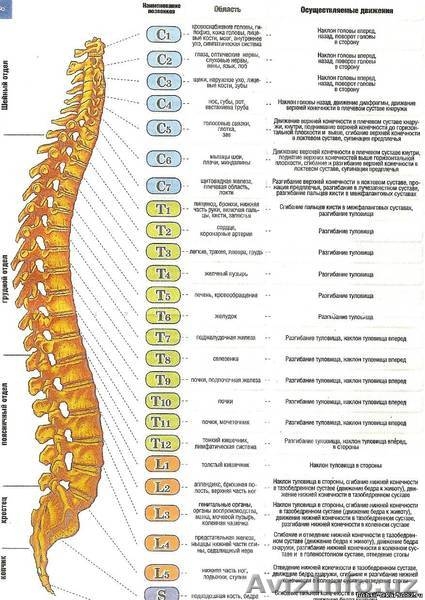 Только для жителей массива Сергели - Изображение #3, Объявление #570768