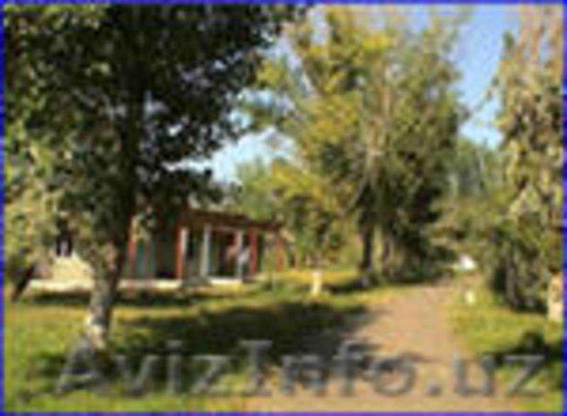 Отдых в Украине эконом-класса - Изображение #5, Объявление #683602