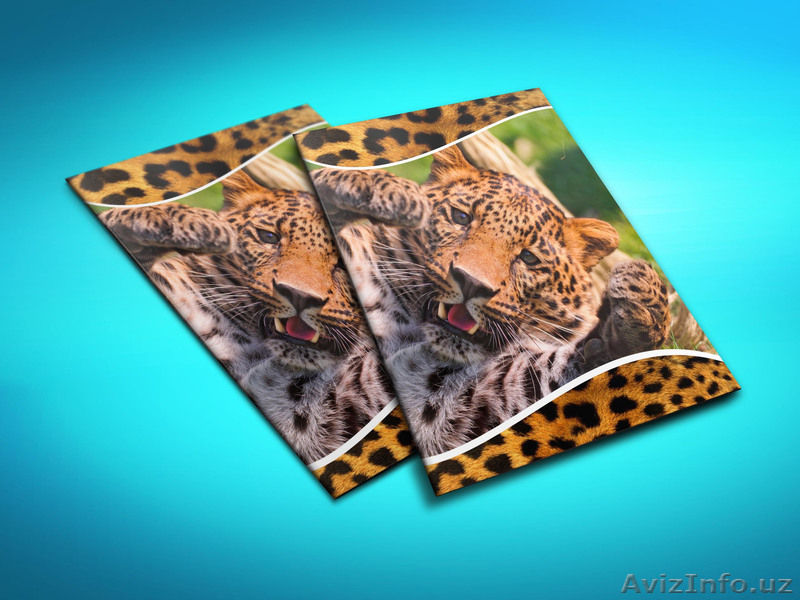 школьные тетради - Изображение #4, Объявление #737049