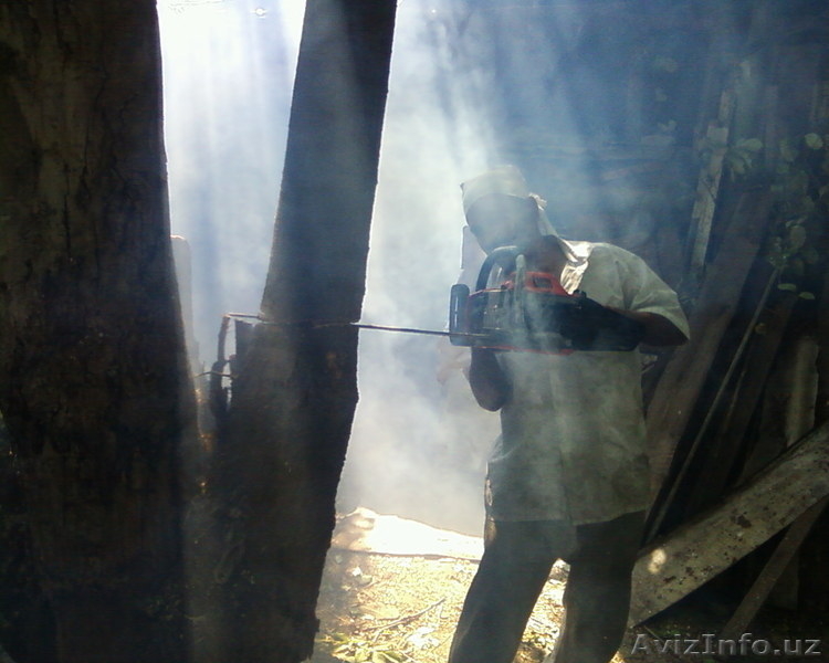 100 работ для Дома и Офиса в Ташкенте - Изображение #3, Объявление #758796