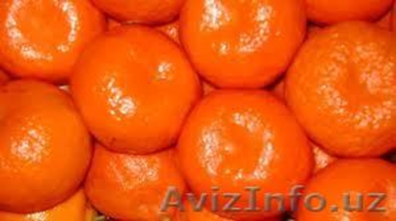 АПЕЛЬСИН,лимон,  - Изображение #3, Объявление #775199