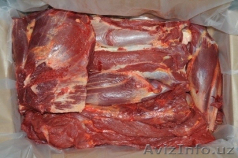 Конина мороженая и охлажденная - Изображение #3, Объявление #800233