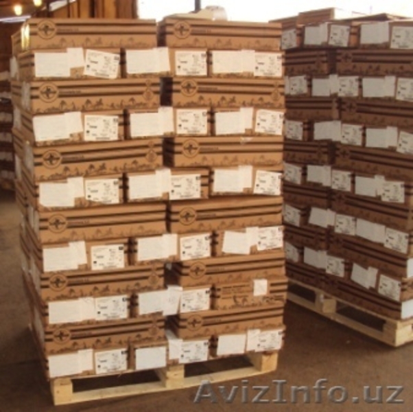 Конина мороженая и охлажденная - Изображение #4, Объявление #800233