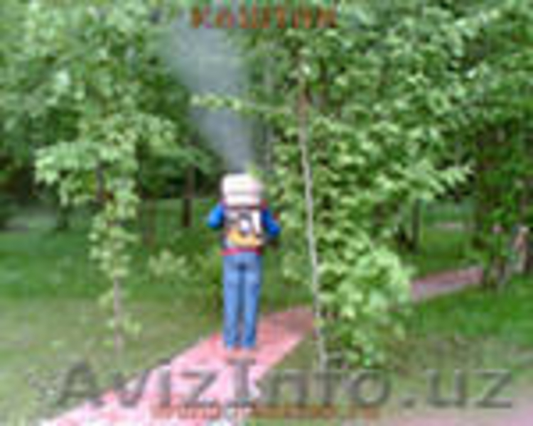 ДЕЗИНФЕКЦИЯ, ДЕЗИНСЕКЦИЯ, ОБРАБОТКА ТЕРРИТОРИИ, ПОМЕЩЕНИЙ  - Изображение #3, Объявление #854688