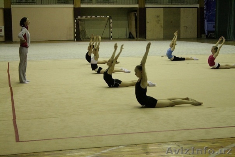 ХУДОЖЕСТВЕННАЯ ГИМНАСТИКА  - Изображение #6, Объявление #852605