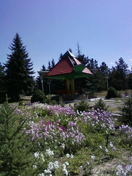 Домик на юге Иссык-Куля для туризма. Можно для ПМЖ - Изображение #7, Объявление #899311