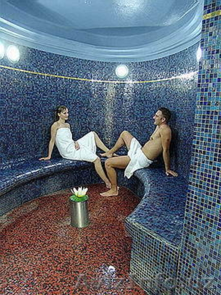  Лечение на курортах Рогашка Слатина (Словения) - Изображение #1, Объявление #904115