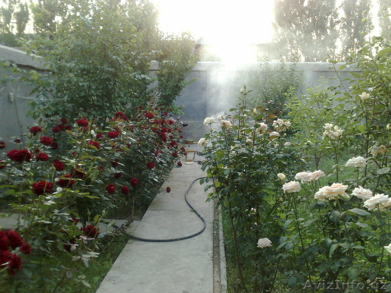 Продам Дачу на берегу реки Дамарык Зангиятинский р-н1км.от кольца - Изображение #5, Объявление #913694