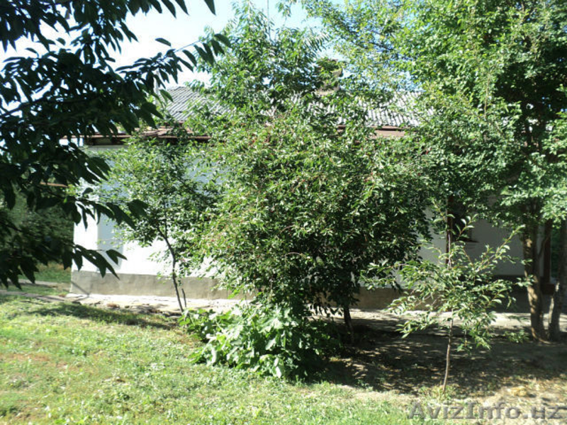 ПРОДАЕТСЯ ДОМ В ЯНГИБАЗАРЕ - Изображение #4, Объявление #917463